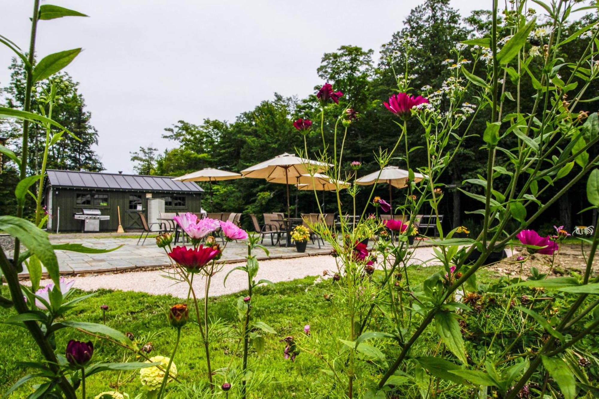 Sunrise Village 基灵顿 客房 照片
